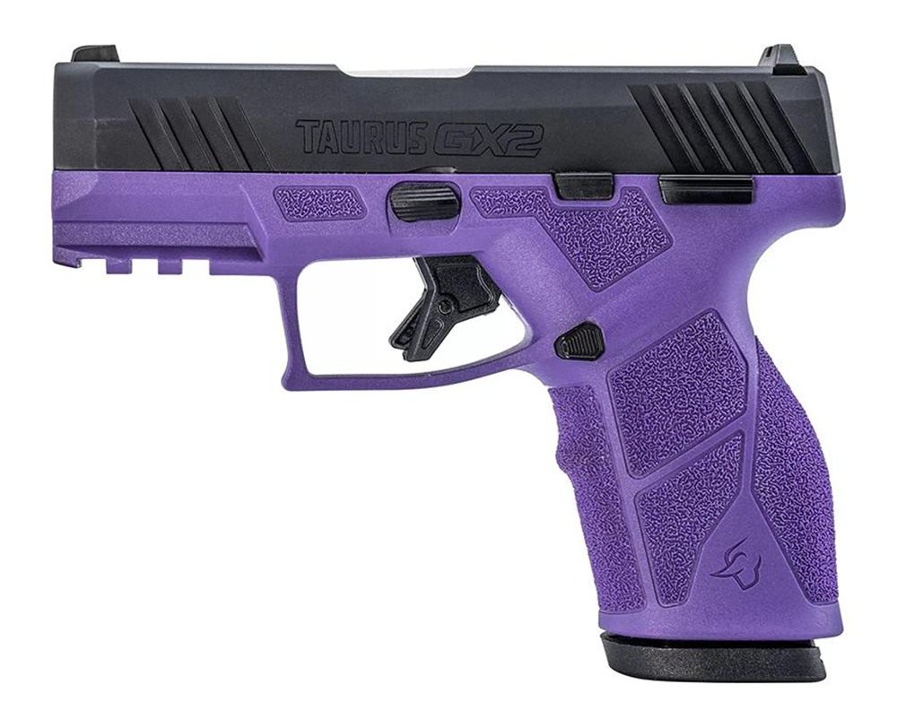 Taurus 1-GX2931DP 9mm Luger 13+1 3.37in Matte Stainless Steel Barrel, Black view 4
