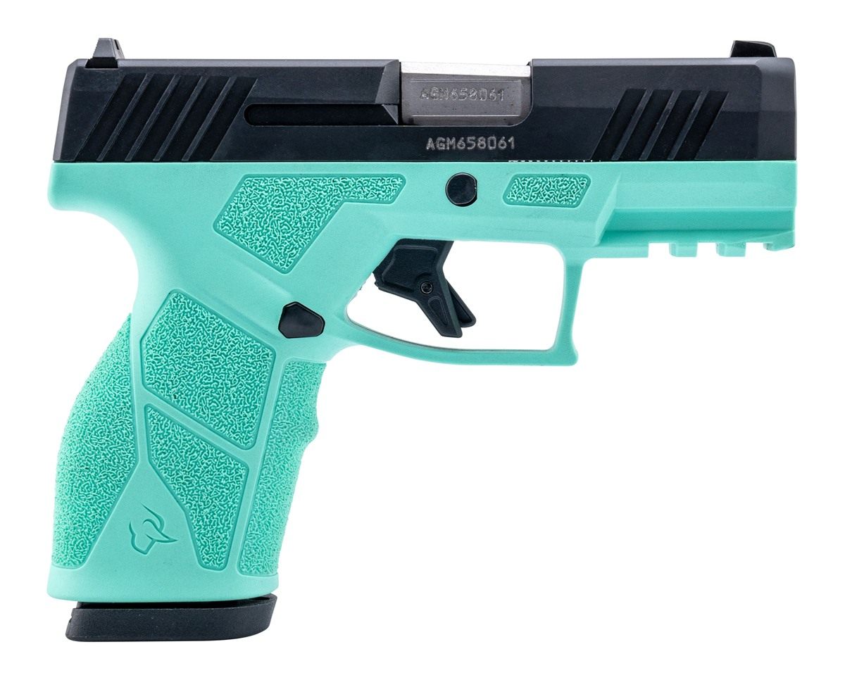Taurus 1-GX2931C 9mm Luger 13+1 3.37in Matte Stainless Steel Barrel, Black