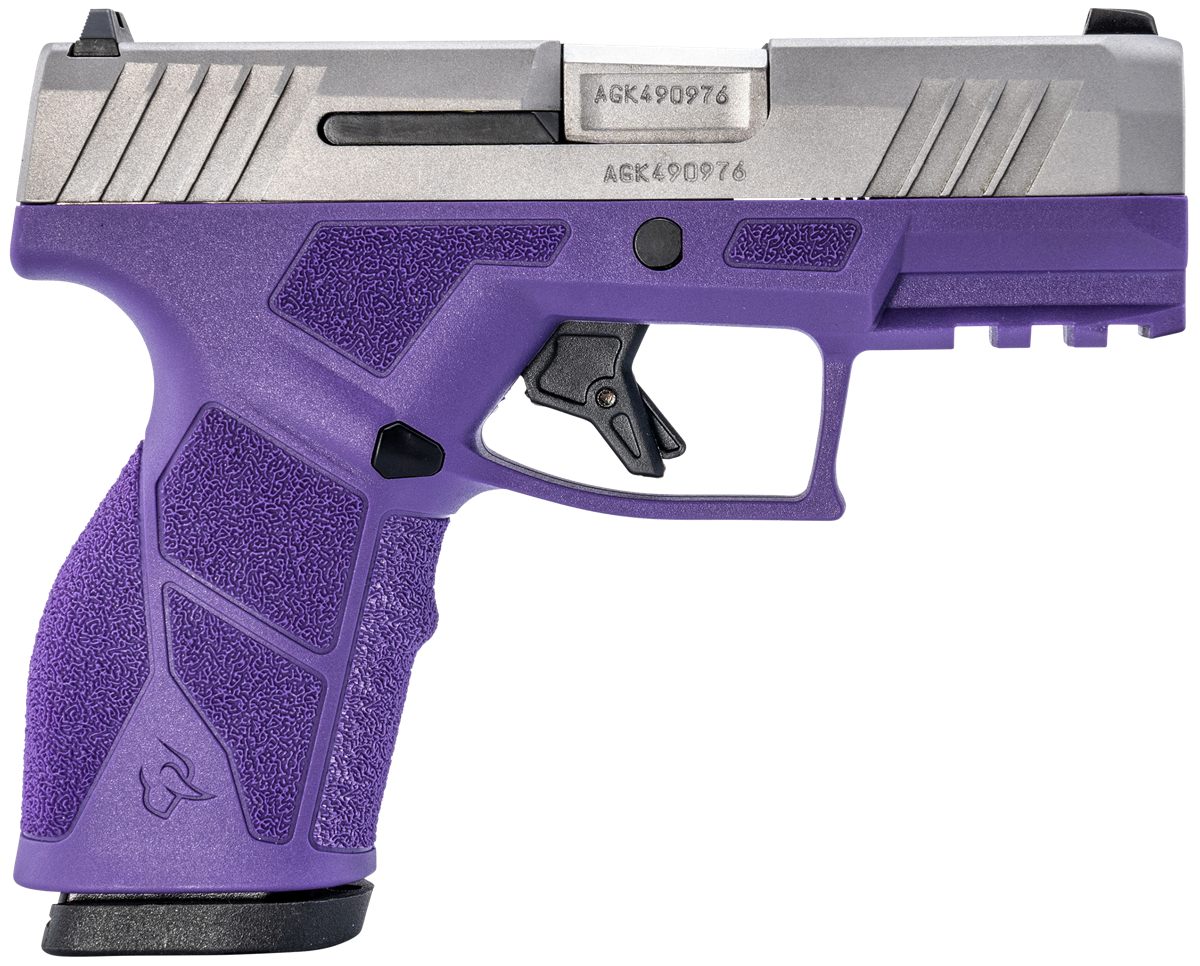 Taurus 1-GX2939DP 9mm Luger 13+1 3.37in Matte Stainless Steel Barrel, Serra view 2