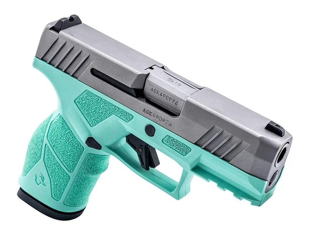 Taurus 1-GX2939C-10 9mm Luger 10+1 3.37in Matte Stainless Steel Barrel, Ser view 2