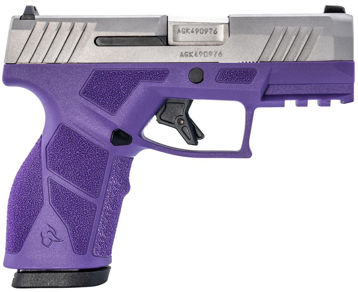 Taurus 1-GX2939DP-10 9mm Luger 10+1 3.37in Matte Stainless Steel Barrel, Se view 2