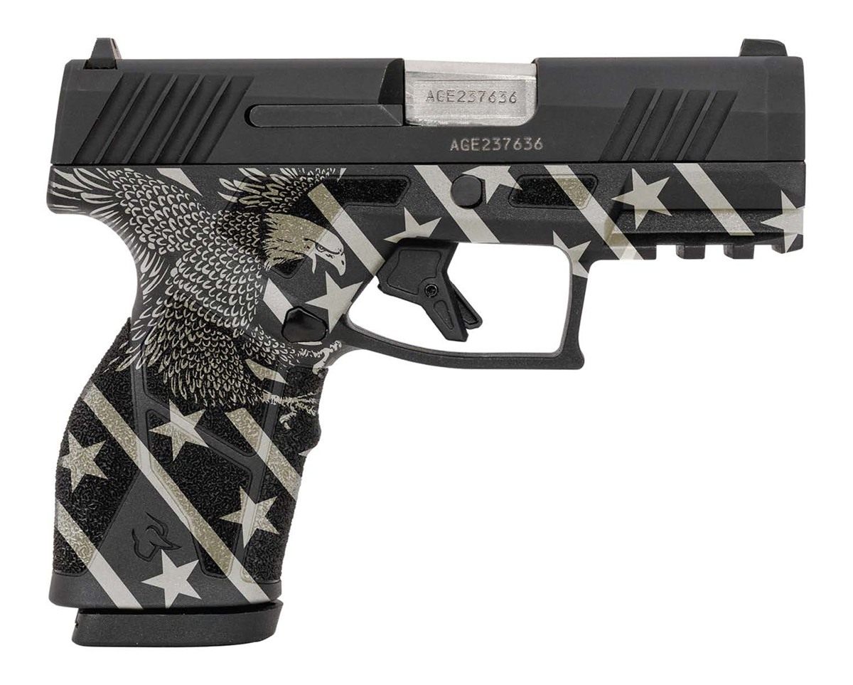 Taurus 1-GX2931-EN1 Compact 9mm Luger 13+1 3.38in Stainless Steel Barrel, M view 2