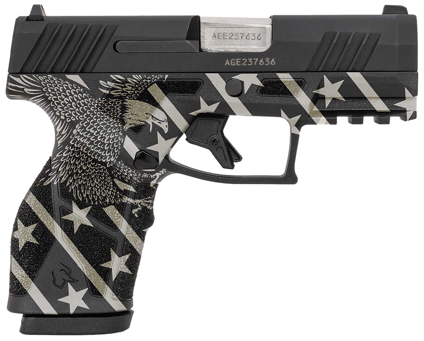 Taurus 1-GX2931-10EN1 Compact 9mm Luger 10+1 3.38in Stainless Steel Barrel