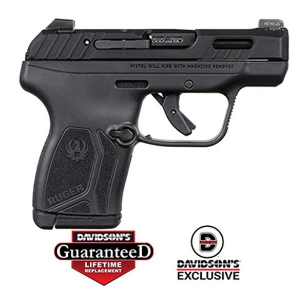 Ruger LCP MAX 380 BLK MS 10RD DE