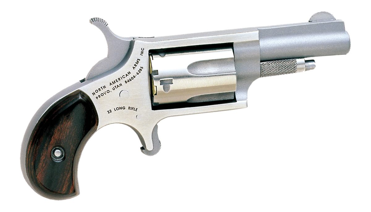 North American Arms 22LLR Mini-Revolver 22 LR 5 Shot 1.63in Stainless Steel