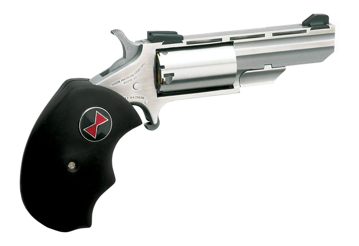 North American Arms BWL Black Widow Compact 22 LR 5 Shot 2in Stainless Stee