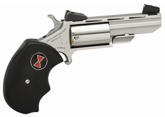 North American Arms NAA Black Widow Mini-Revolvr 22WMR 2in AS S/S Rubber