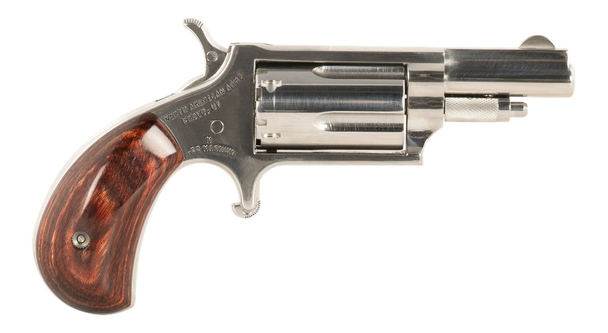 North American Arms 22MDLX Ldlx 22 Mag 5 Shot 1.13in Polished Stainless Ste