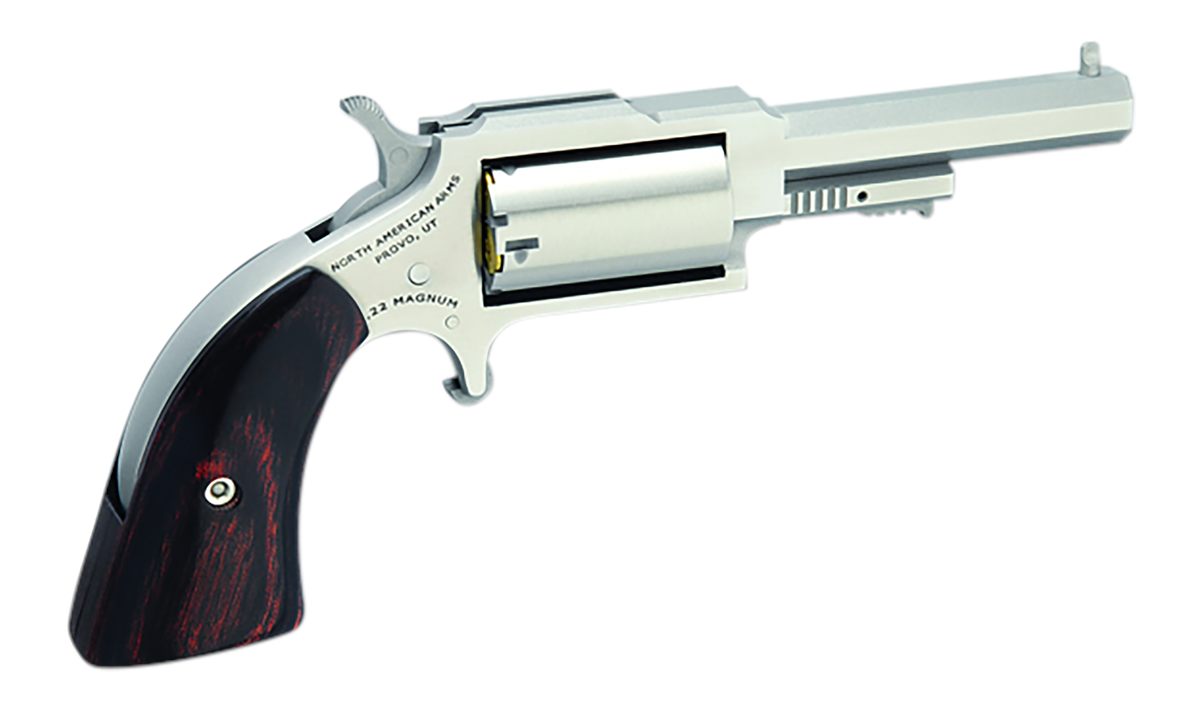 North American Arms 1860250 1860 Sheriff C22 WMR 5 Shot 2.50in Stainless St