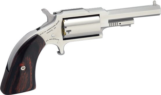 North American Arms 1860250C 1860 Sheriff 22 LR/22 WMR 5 Shot 2.50in Stainl view 2