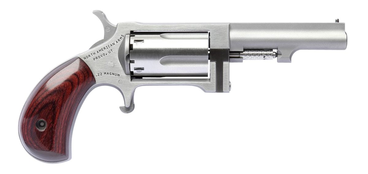 North American Arms SW250 Sidewinder Small 22 WMR 5 Shot 2.50in Stainless S