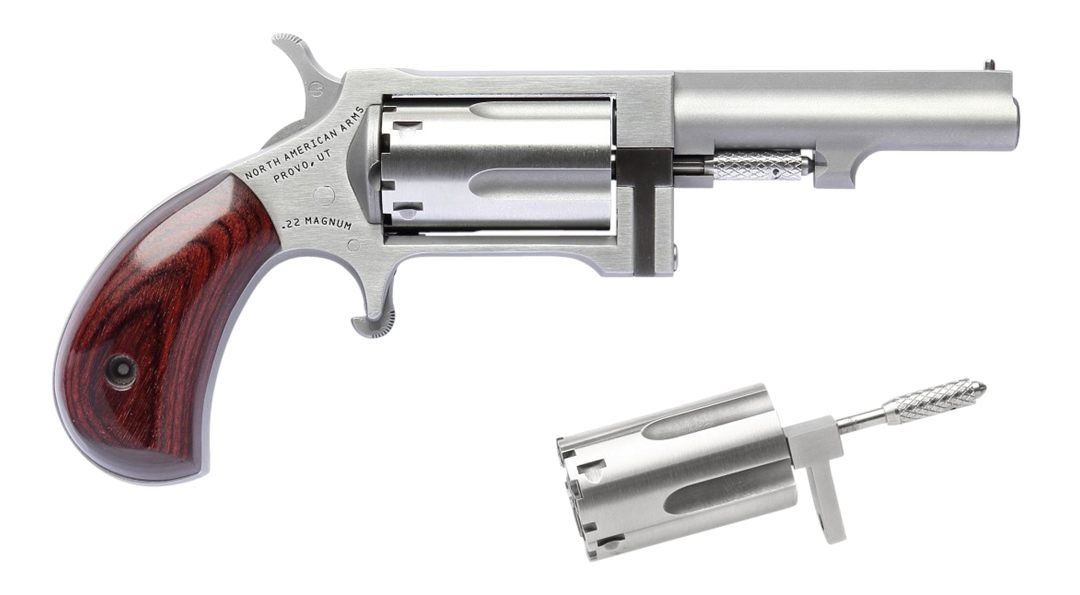 North American Arms SWC250 Sidewinder 22 LR WMR 5 Shot 2.50in Stainless Ste