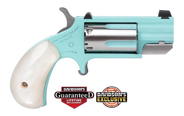 North American Arms NAM PUG 22M SS 1IN HB FS TQ DE