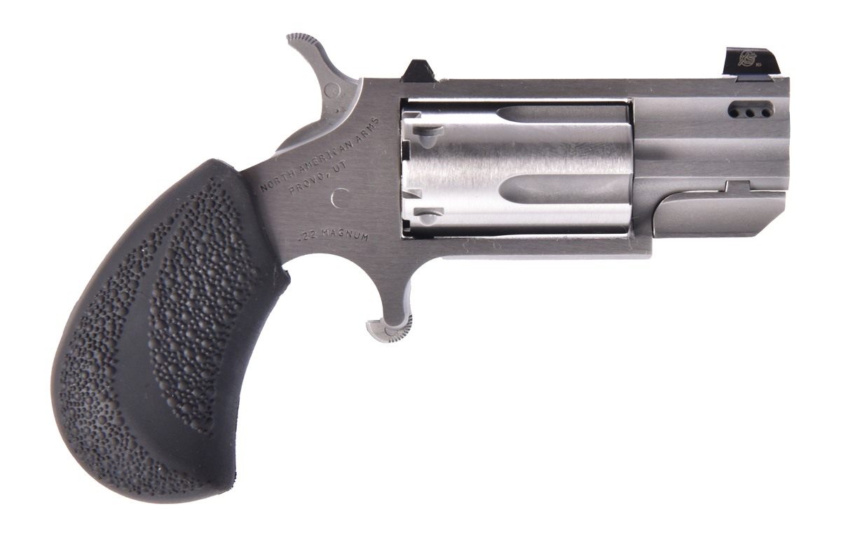 North American Arms NAA Mini Revlvr PUG Prtd 22LR/MAG 1in XS Tritium Sights