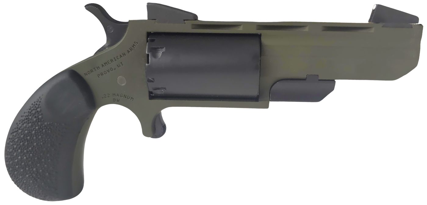 North American Arms Naatghcb Green Huntsman Conversion 22 LR/22 Mag 5rd 2in