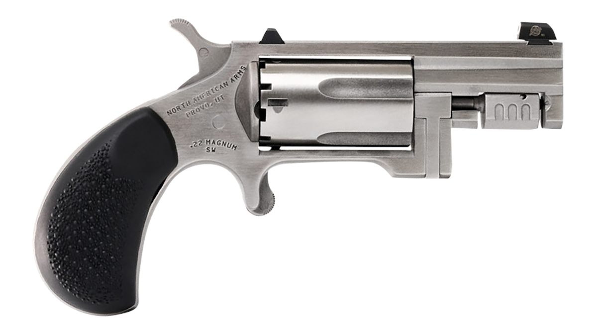 North American Arms SNT Sentinel 22 WMR 5 Shot 1.42in Matte Stainless Steel