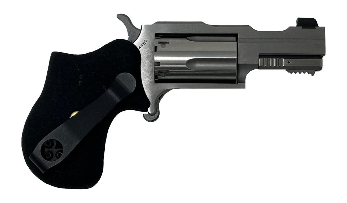 North American Arms 22MAG 1-5/8in Rule 1 SS XS Sght