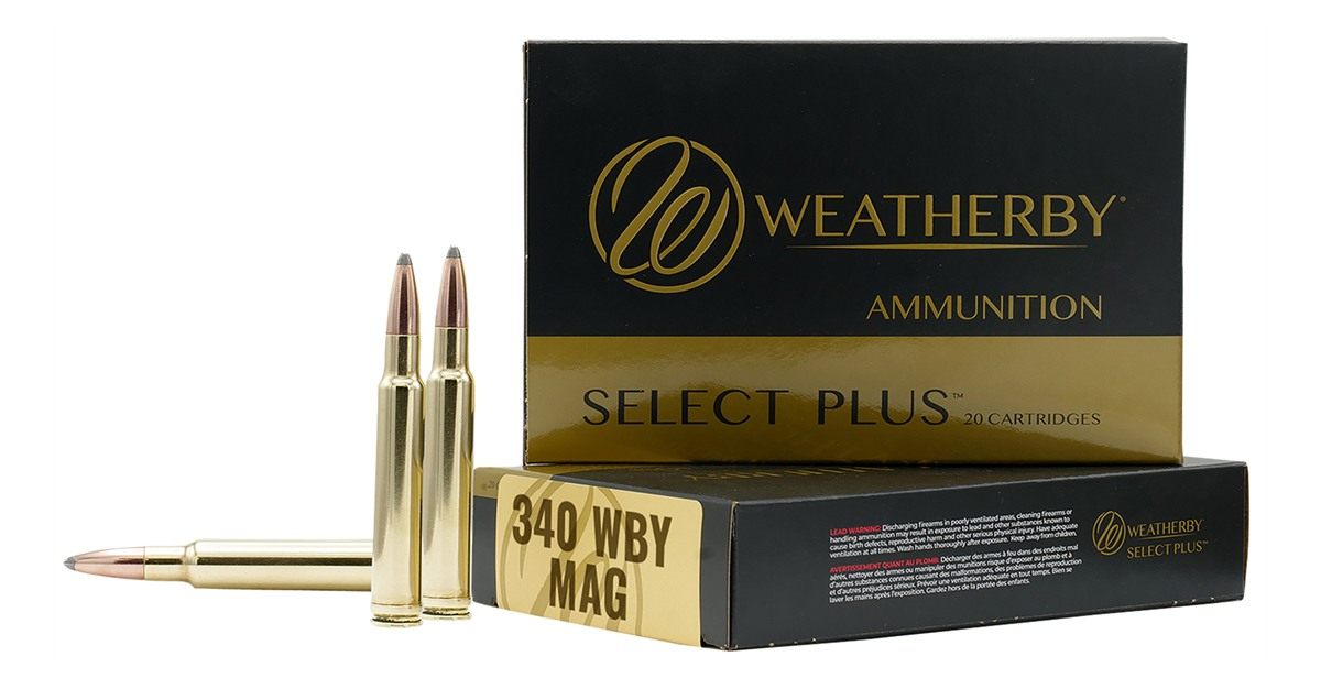 Weatherby WBY Ammo 340WBY 225GR Interlock 20/10
