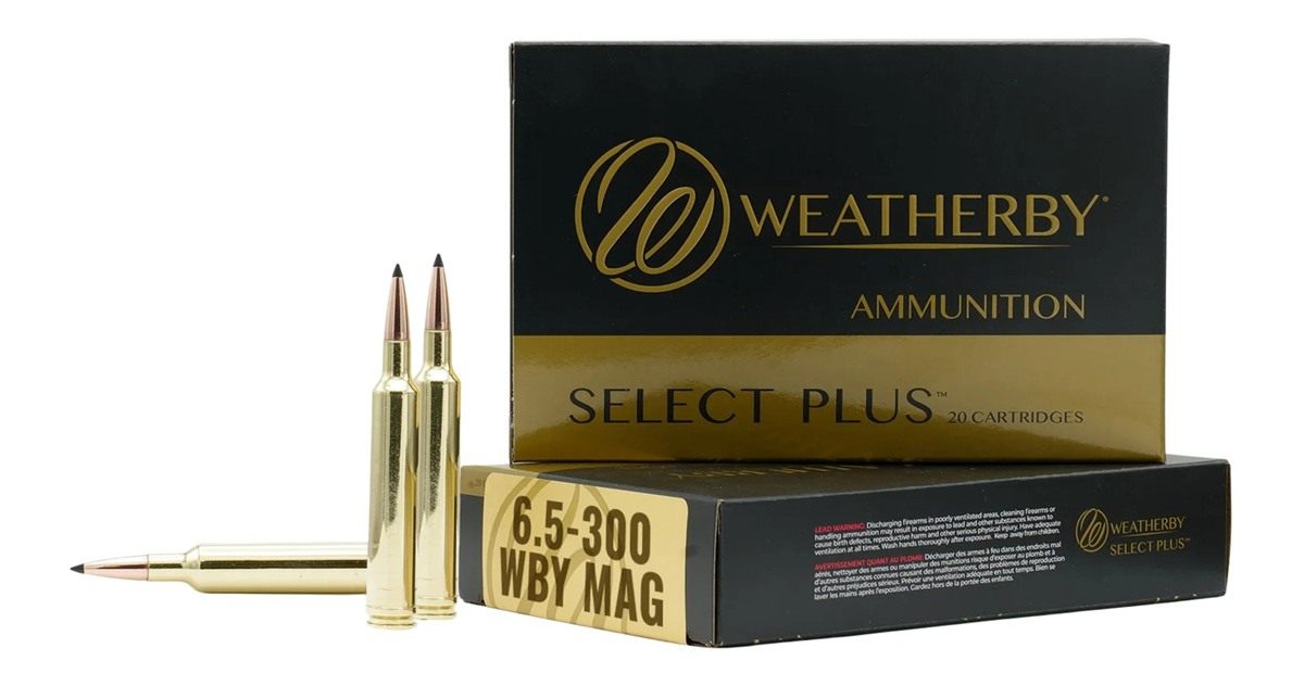 Weatherby H653140IL Select 6.5x300 Mag 140 gr 3275 fps Hornady Interlock 20 view 2