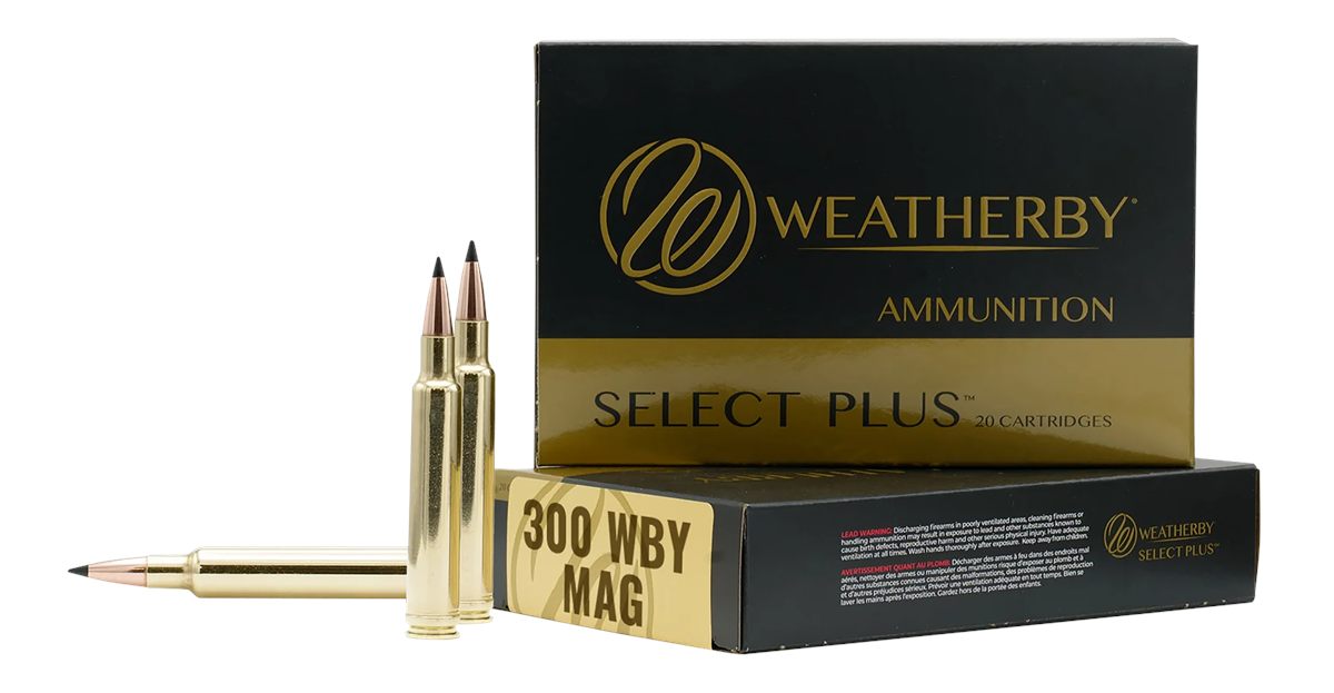 Weatherby Select Plus Swift Scirocco Rifle Ammunition .300 Wby Mag 180gr 31