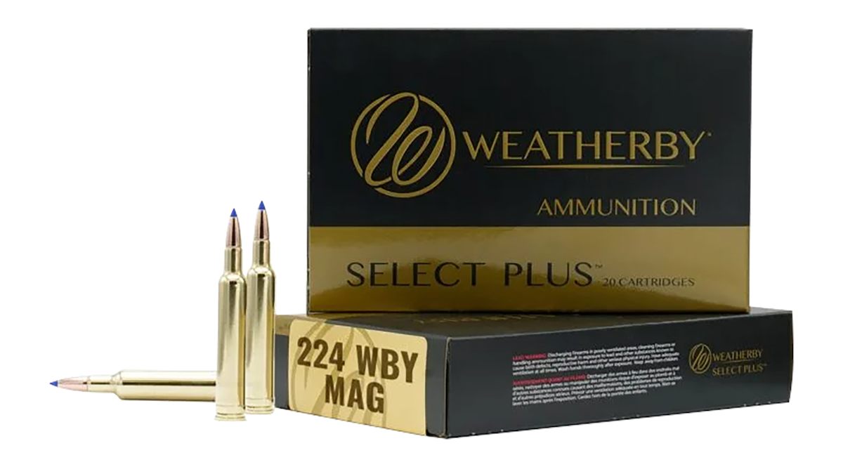 Weatherby R224805FBT 224 WthbyMag 80.5gr 20 Per Box/10 Case