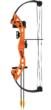 BEAR ARCHERY YOUTH COMPOUND BOW BRAVE RH ORANGE AGE 8+ view 3