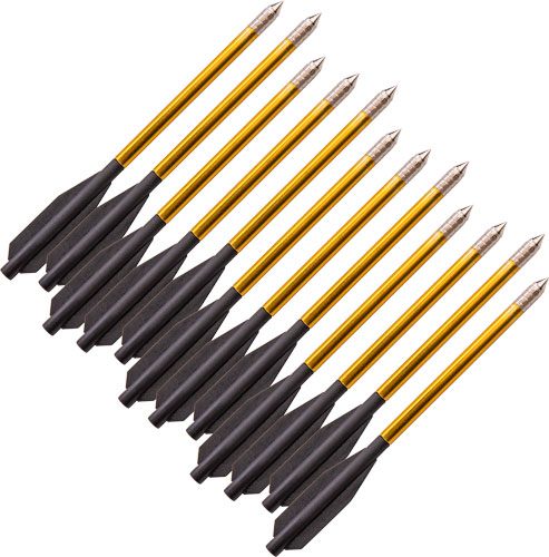 Bear Archery X Desire Crossbow Bolts 12PK
