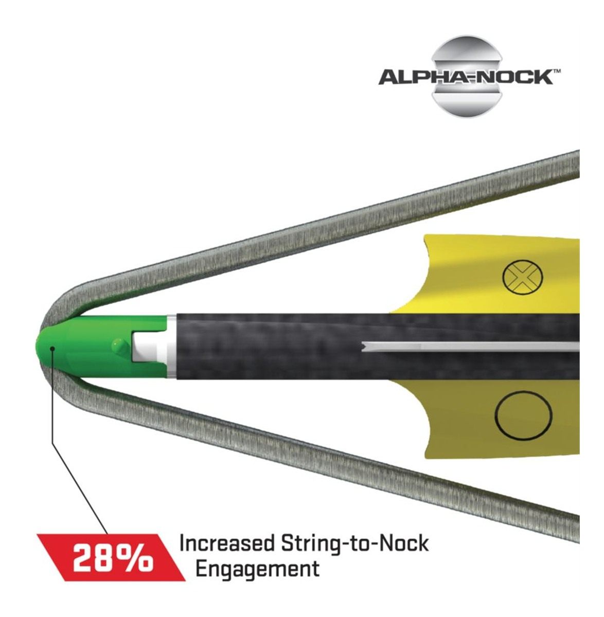 TEN Point EVO-X CenterPunch 16 Carbon Arrows 16in w/ Alpha-Nocks .001in view 2