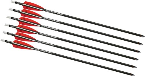 TEN Point EVO-X CenterPunch 16 Carbon Arrows 16in w/ Alpha-Nocks .001in view 3