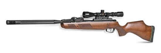 Gamo 611003875554 Swarm Bone Collector Gen 3 ITG 22 Black Steel Barrel Rece view 2