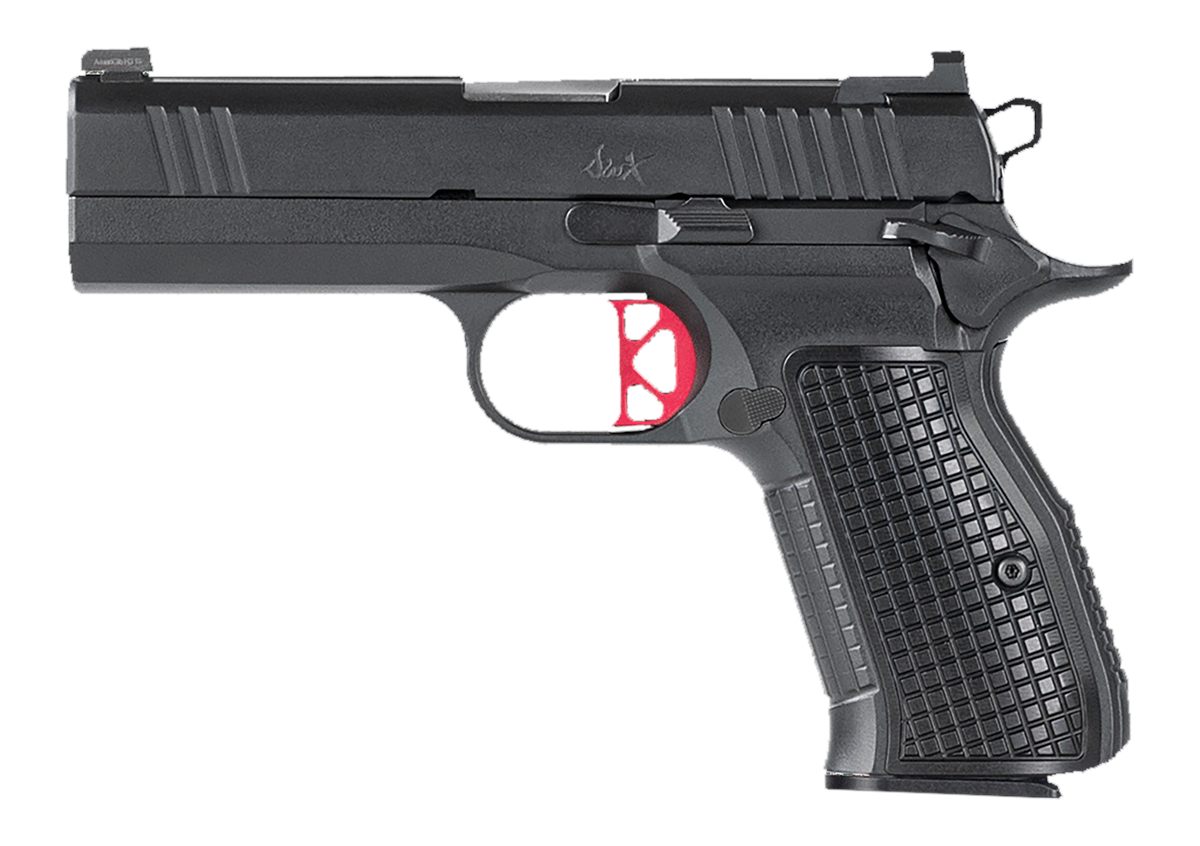 CZ USA Dan Wesson 92102 DWX Compact 9mm Luger 15+1 4in Match Grade Barrel