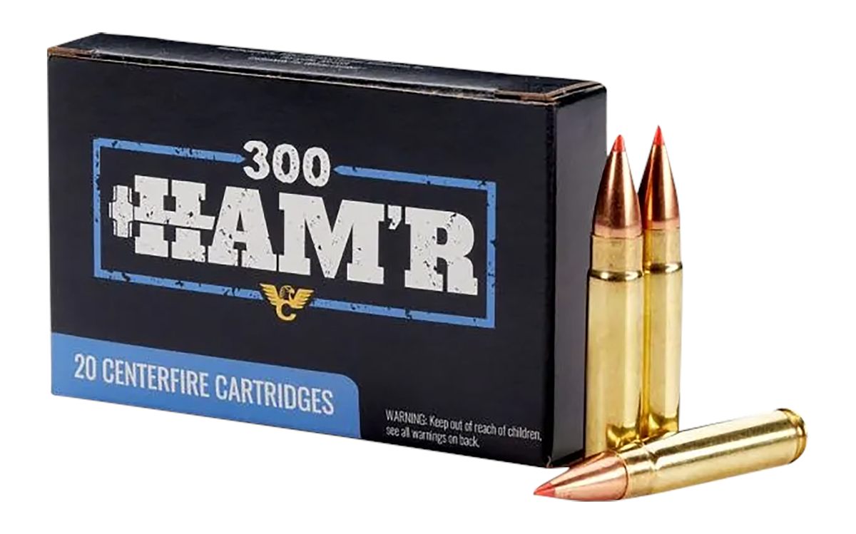 Wilson Combat A300HMR110VMAX 300HAM'r 110gr V-Max 20 Per Box/10 Case