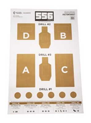 Action Target TGT 556 Trng LAB CRM 100PK