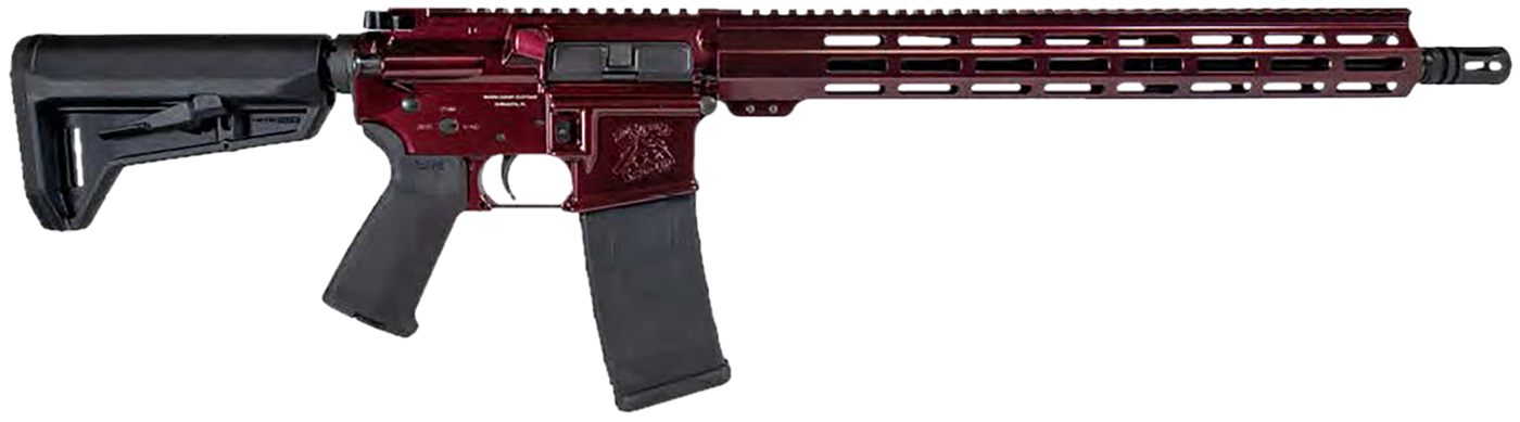 Shark Coast Tactical 300-040-1000-00 Blaze 5.56 Nato 30+1 16in Black Nitrid