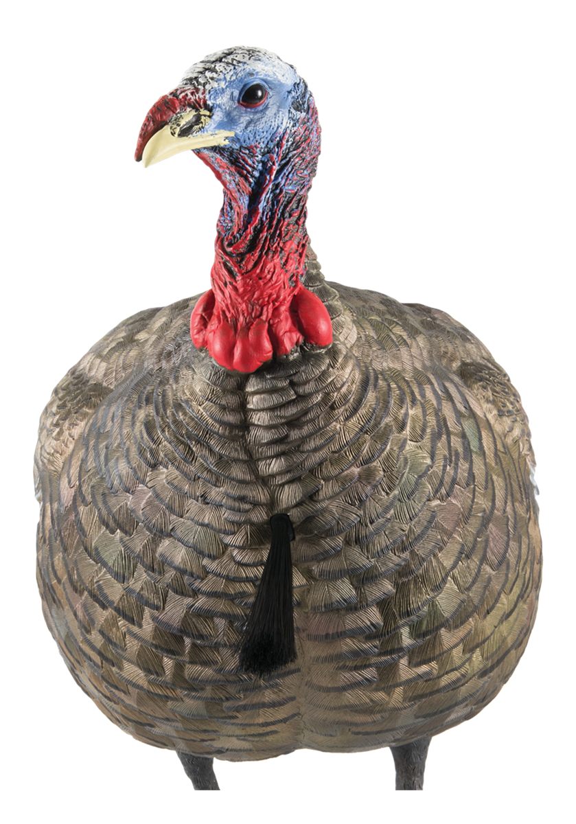 Avian X LCD Jake Quarter Strut Durable Realistic Lifelike Collapsible Stand