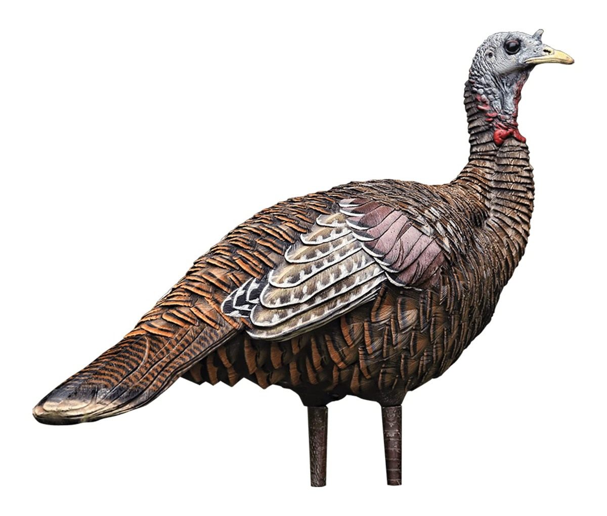 Avian X LCD Lookout Hen Turkey Decoy | Durable Realistic Lifelike Collapsib