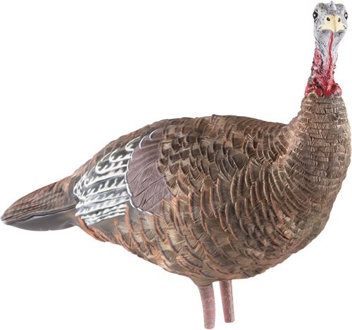 Avian X LCD Lookout Hen Turkey Decoy | Durable Realistic Lifelike Collapsib view 3