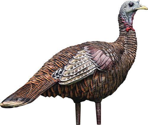 Avian X LCD Lookout Hen Turkey Decoy | Durable Realistic Lifelike Collapsib view 4