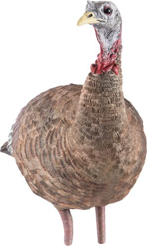 Avian X LCD Lookout Hen Turkey Decoy | Durable Realistic Lifelike Collapsib view 5
