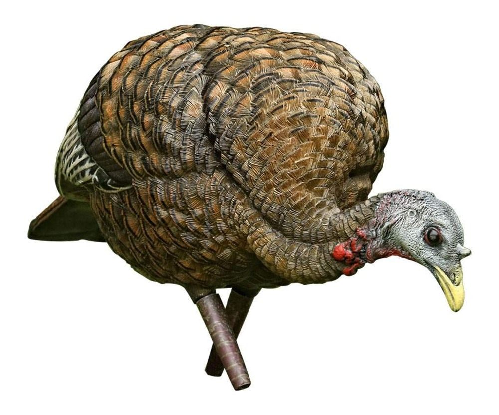 Avian X LCD Feeder Hen Turkey Decoy | Durable Realistic Lifelike Collapsibl