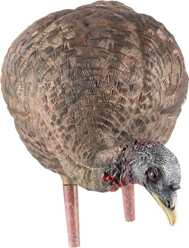 Avian X LCD Feeder Hen Turkey Decoy | Durable Realistic Lifelike Collapsibl view 4