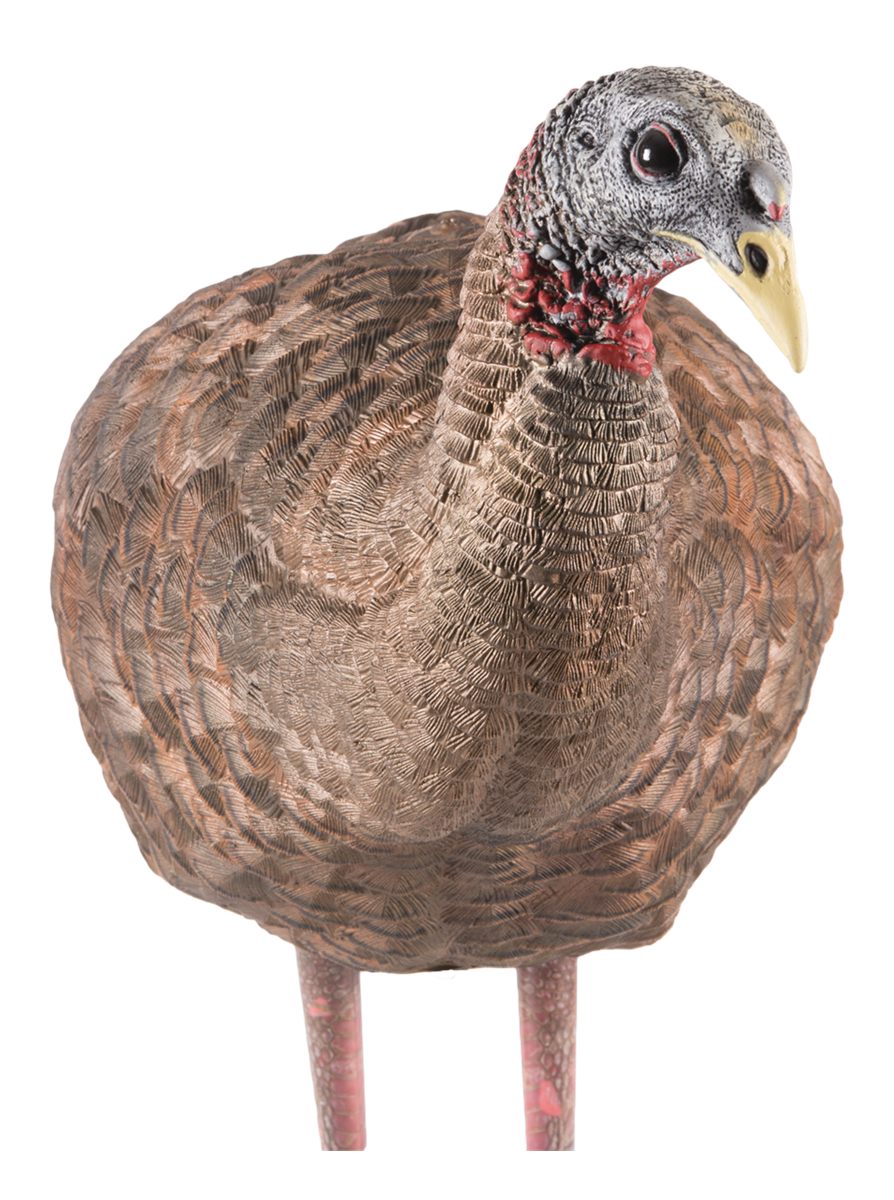 Avian X Breeder Lifelike Collapsible Decoy LCD Folding Hen Turkey Hunting w