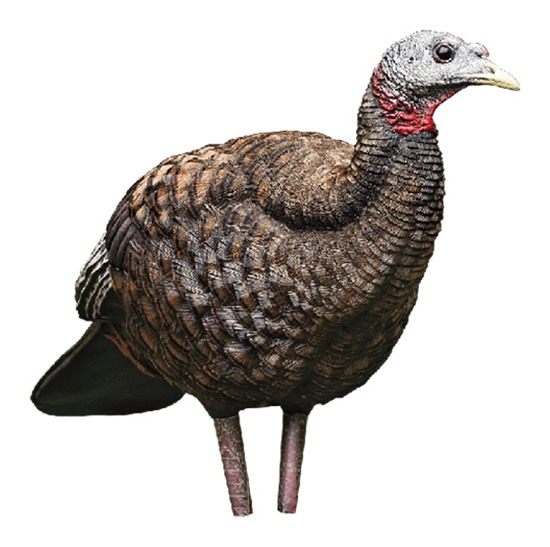 Avian X Breeder Lifelike Collapsible Decoy LCD Folding Hen Turkey Hunting w view 2