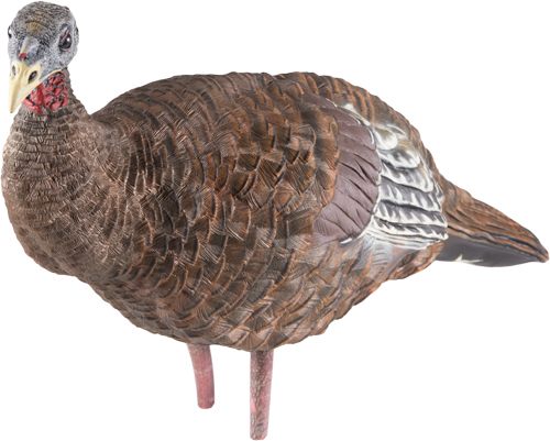 Avian X Breeder Lifelike Collapsible Decoy LCD Folding Hen Turkey Hunting w view 4