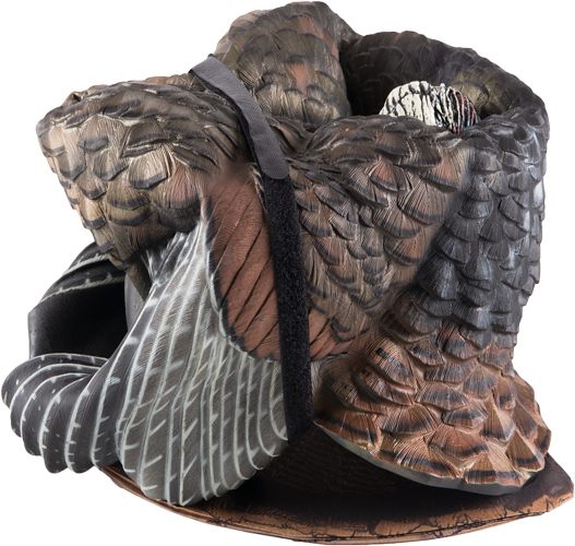 Avian X LCD Half-Strut Jake Turkey Decoy | Durable Realistic Lifelike Colla view 3