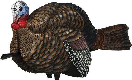 Avian X LCD Half-Strut Jake Turkey Decoy | Durable Realistic Lifelike Colla view 5