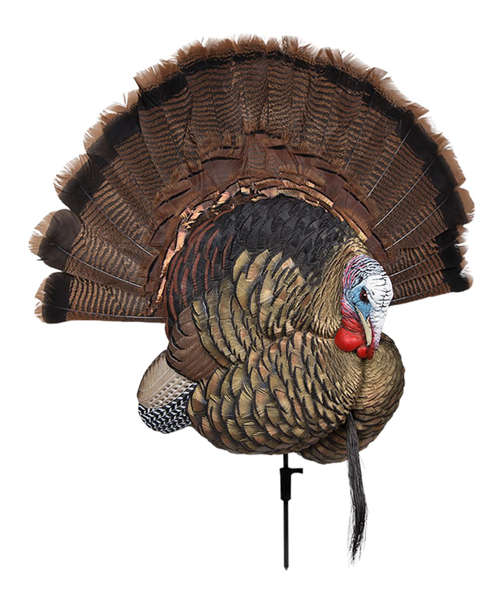 Avian X AVXAVX8021 Trophy Tom Turkey Species Multi-Color No Fan