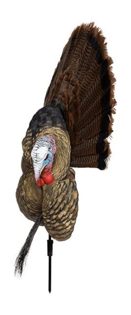 Avian X AVXAVX8021 Trophy Tom Turkey Species Multi-Color No Fan view 4