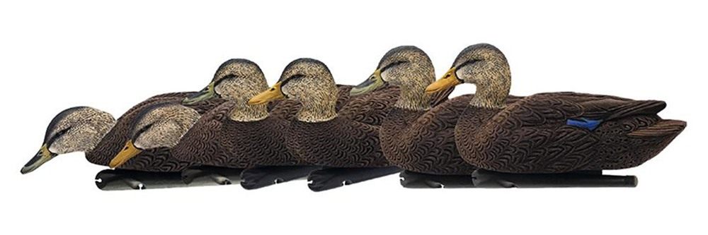 Avian X Topflight Black Realistic Duck Decoy Sets with Flocked Bodies, 6 Un view 4