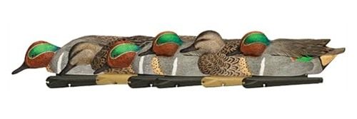 Avian X Topflight Green-Winged Teal Decoys, Realistic Floating Duck Decoys for Hunting, Weight-Forward Swim Keel, Set of 6, Multicolor view 2
